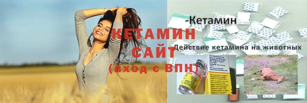 дмт Белокуриха