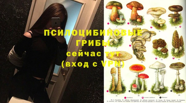 экстази Богородицк